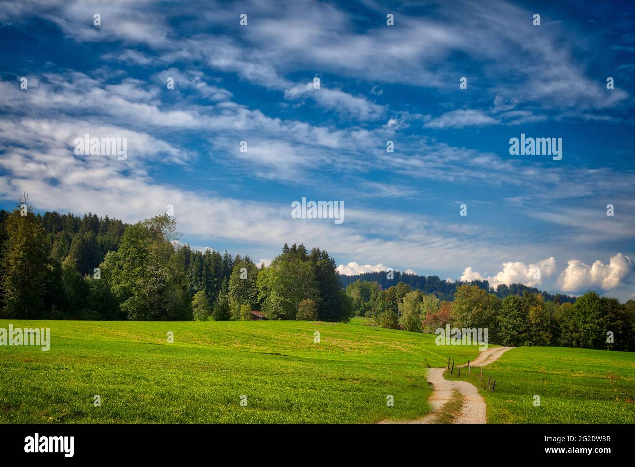 DE - BAVIERA: Pista de granja a través del paisaje alpino en Wackersberg cerca de Bad Toelz Foto de stock