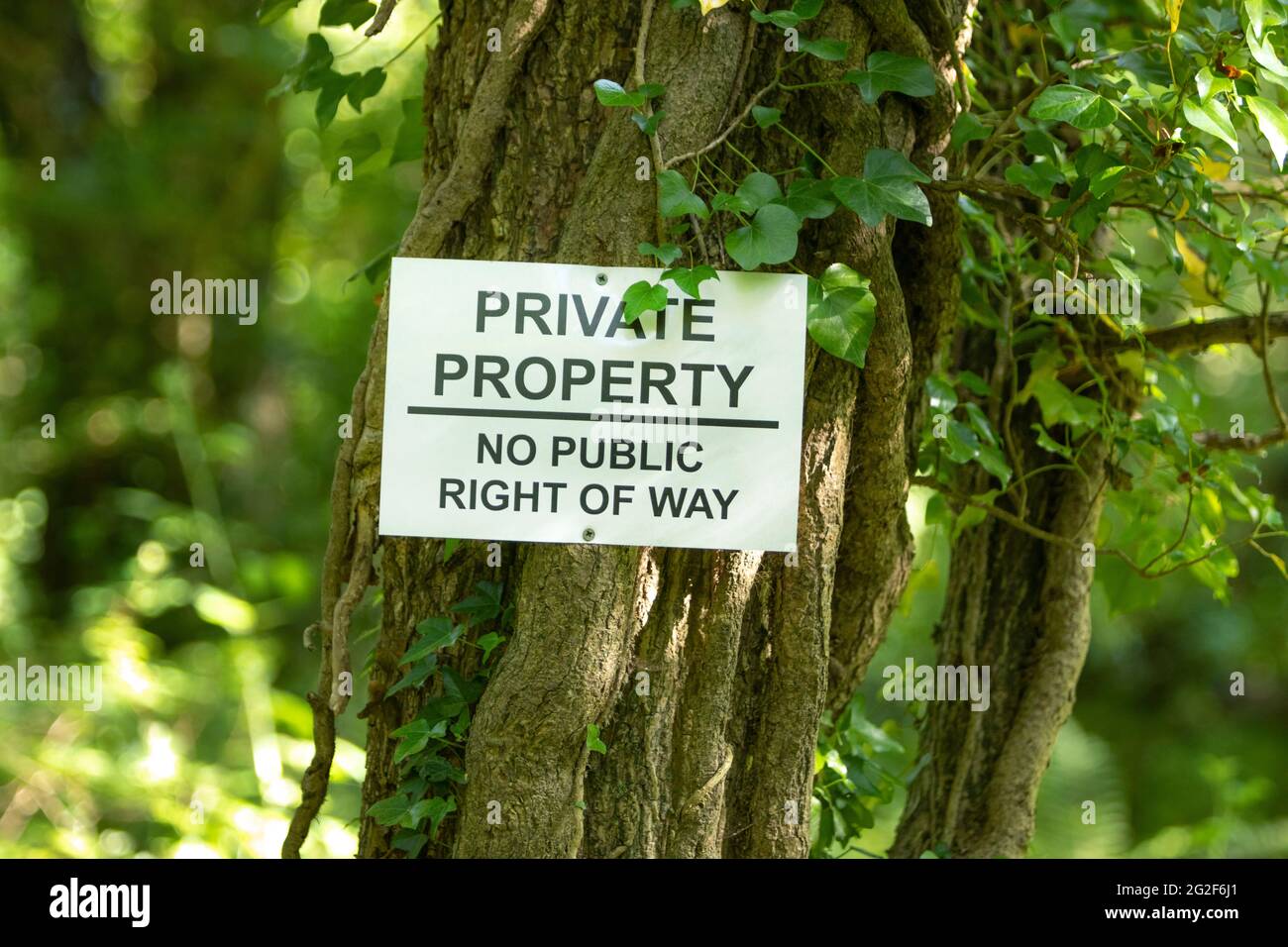 Una propiedad privada, sin señal de derecho de paso público en el bosque. Foto de stock