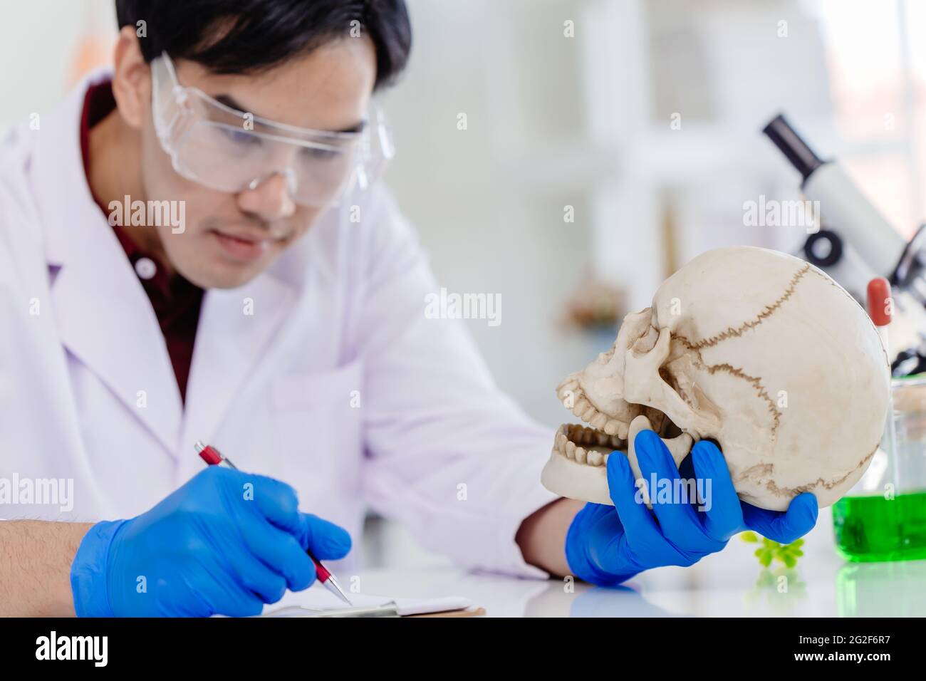 Asian Male trabaja en Ciencias Físicas y Antropología en el estudio de investigación de laboratorio de ciencias biológicas en hueso humano y cráneo. Foto de stock