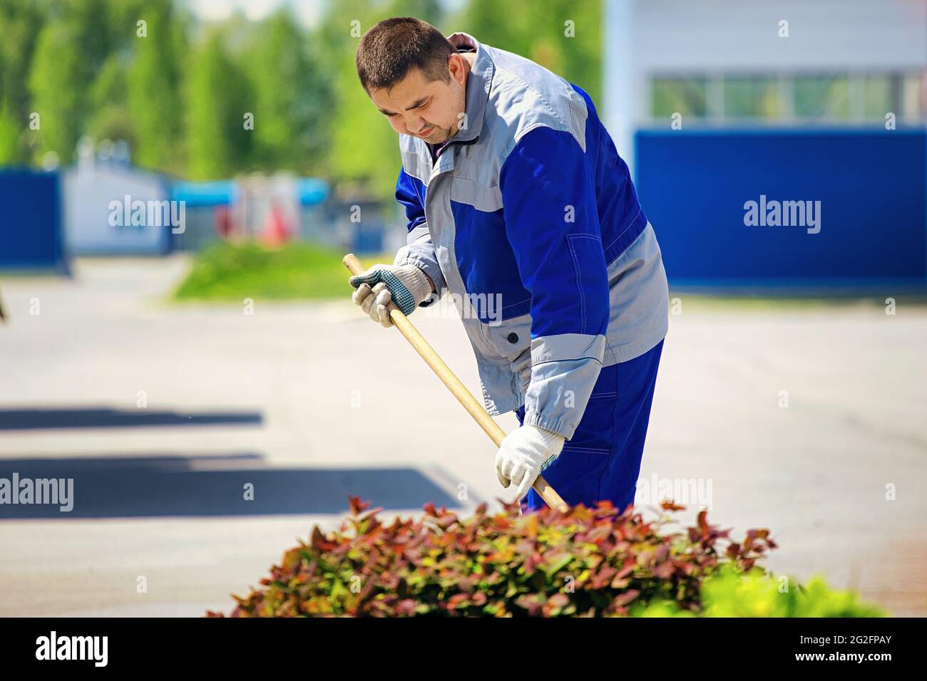 Un jardinero masculino de aspecto caucásico maneja y cuida las plantas en el sitio de producción en un día de verano. Trabajo a tiempo parcial y empleo de la población joven. Foto de stock