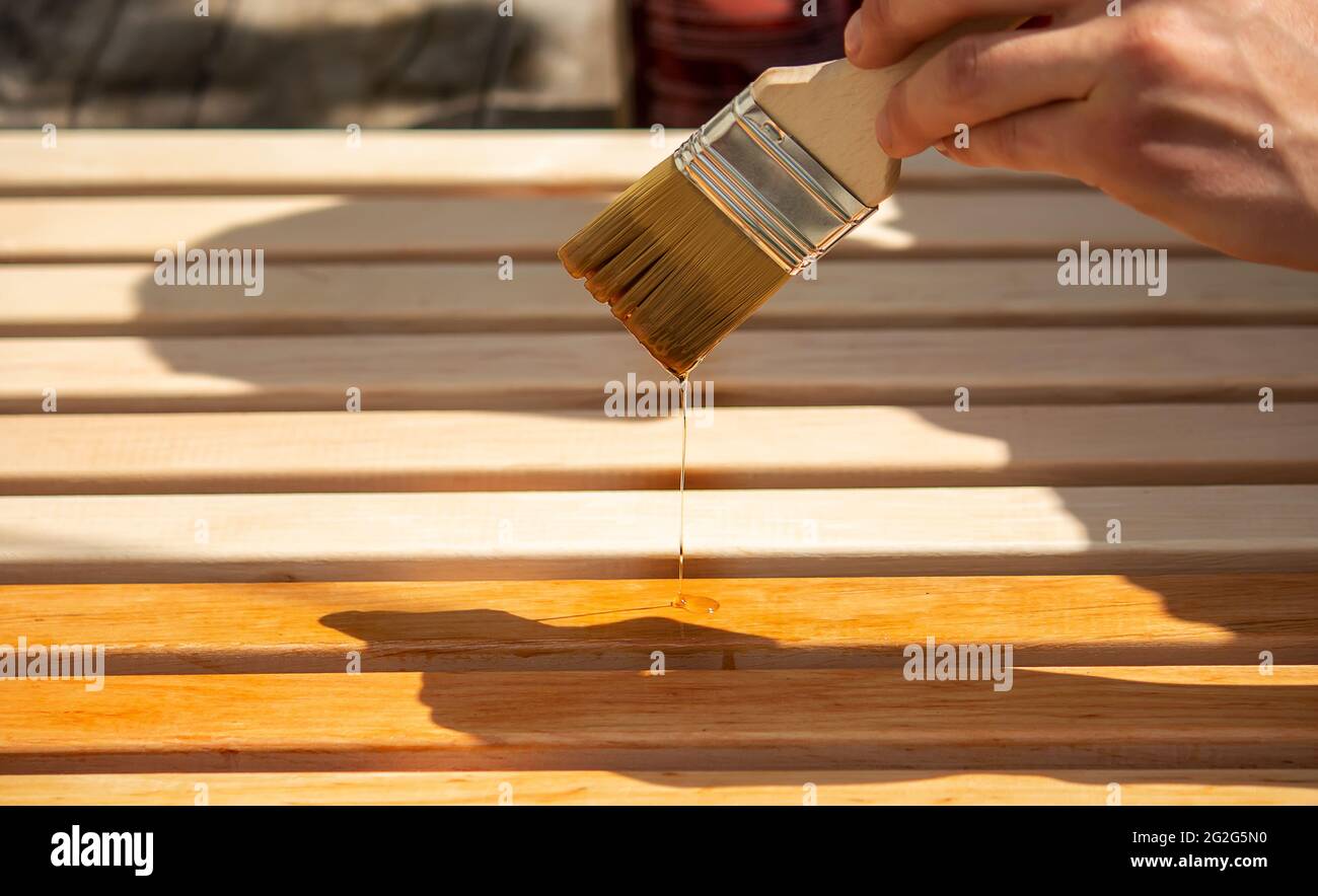 Pintar muebles de madera con barniz. Un hombre oculta un árbol con barniz.  Enfoque selectivo Fotografía de stock - Alamy