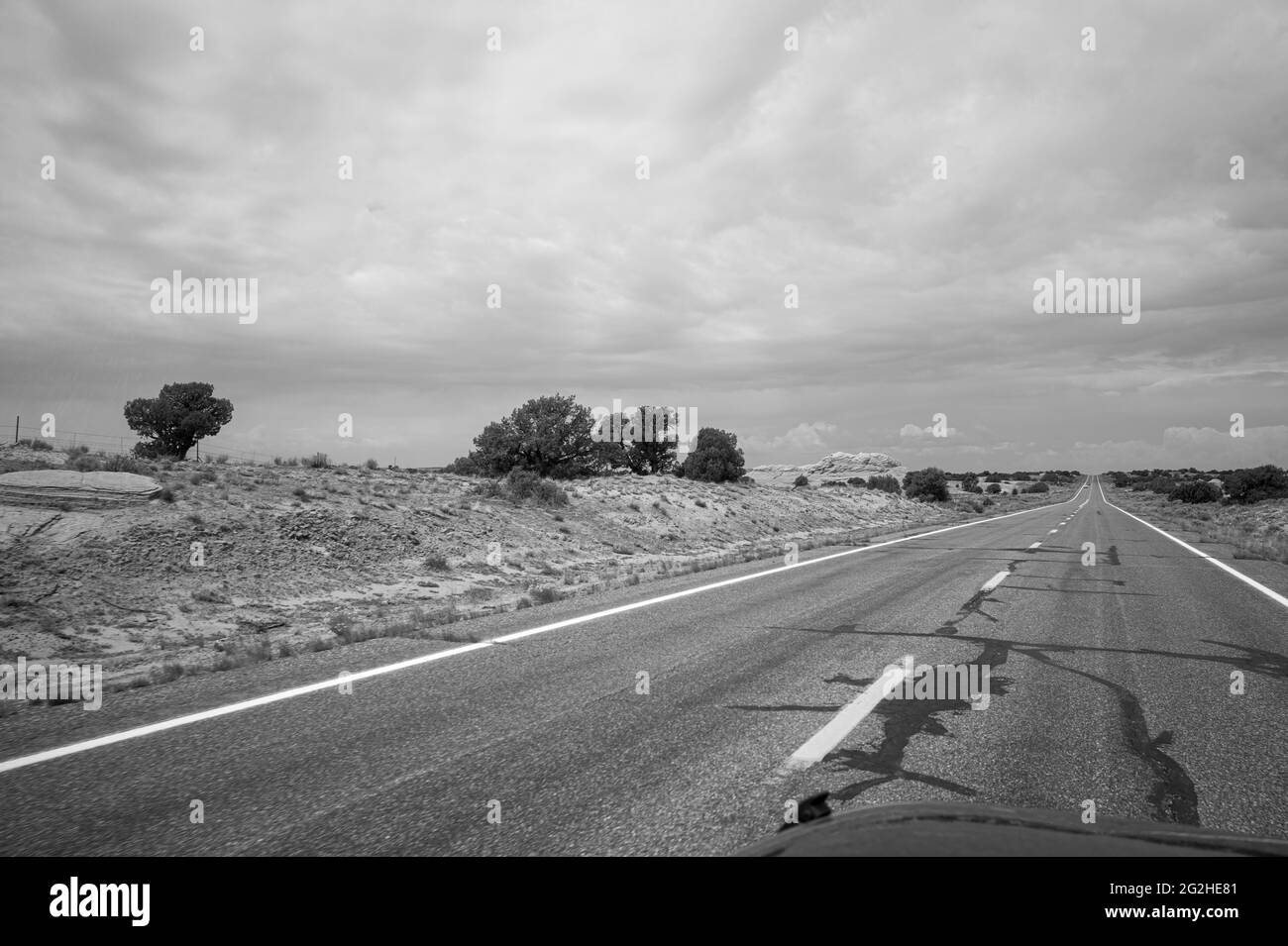 Kaibito fotografías e imágenes de alta resolución Alamy