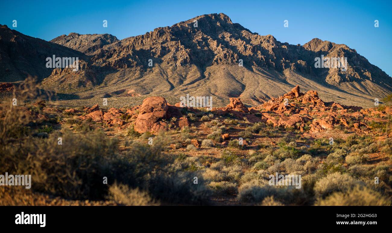 Panorama del hermoso paisaje en el Parque Estatal Valley of Fire, Nevada, Estados Unidos Foto de stock