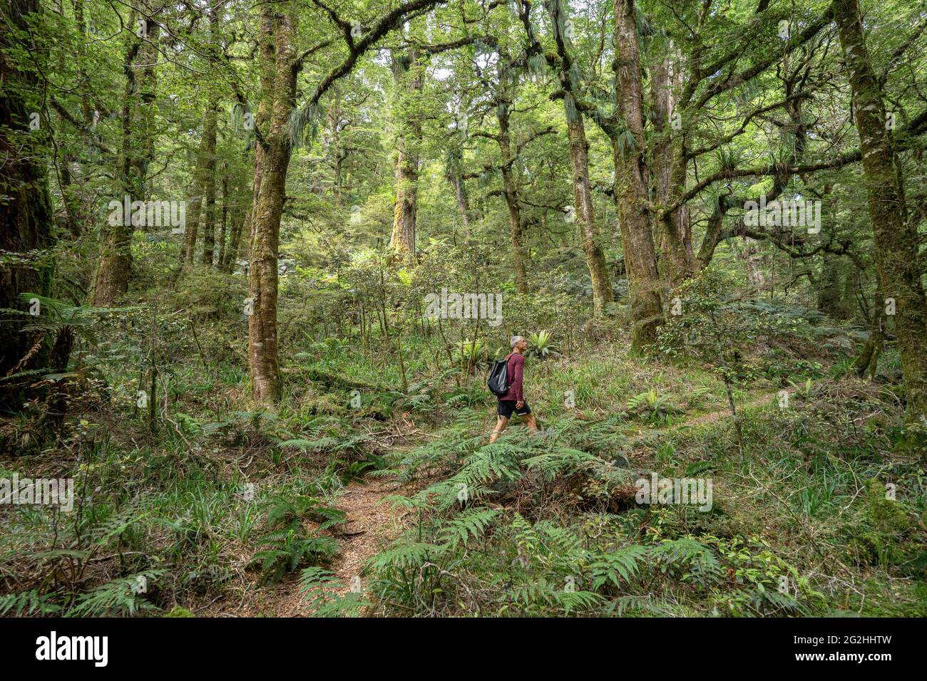 Circuito Ruapani, caminata larga y agotadora a trav??s de la selva hasta