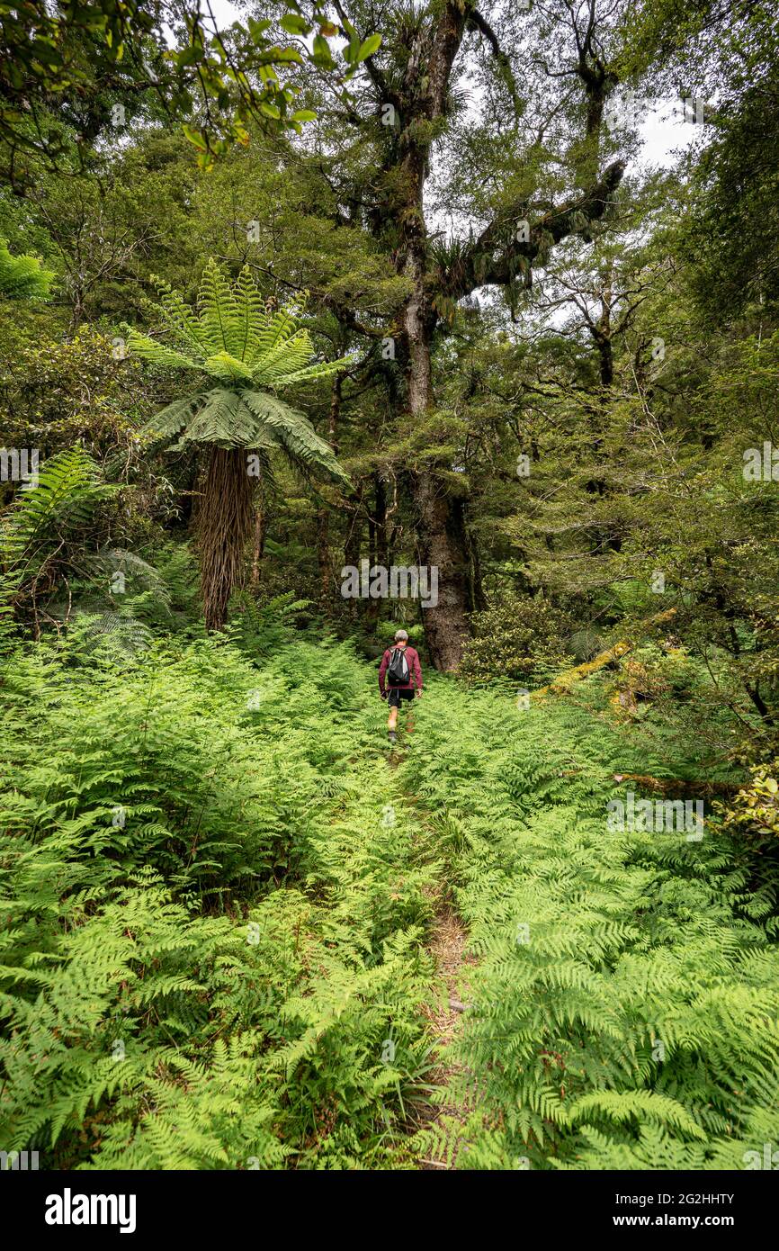 Circuito Ruapani, caminata larga y agotadora a través de la selva hasta
