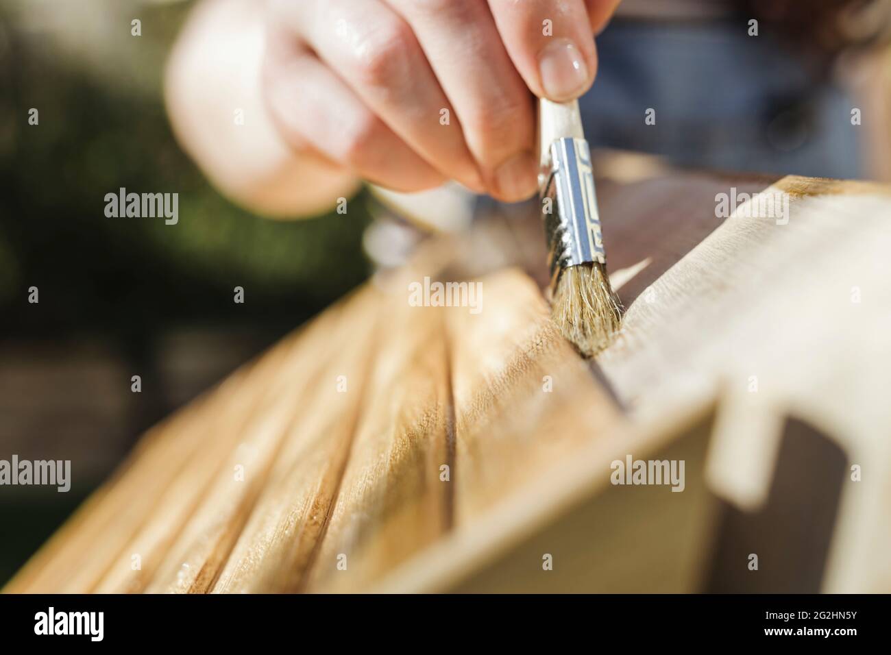 Apicultor orgánico pinta colmenas con aceite de linaza Foto de stock