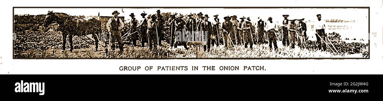 Una fotografía de prensa de 1898 del Estado de la Independencia, Asilo, condado de Grayson, Iowa, EE.UU., la imagen muestra pacientes varones trabajando en el parche de cebolla. Foto de stock