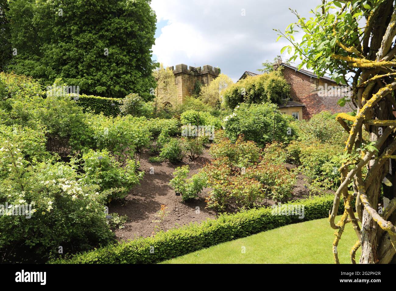 El Alnwick Garden, Alnwick, Northumberland Foto de stock