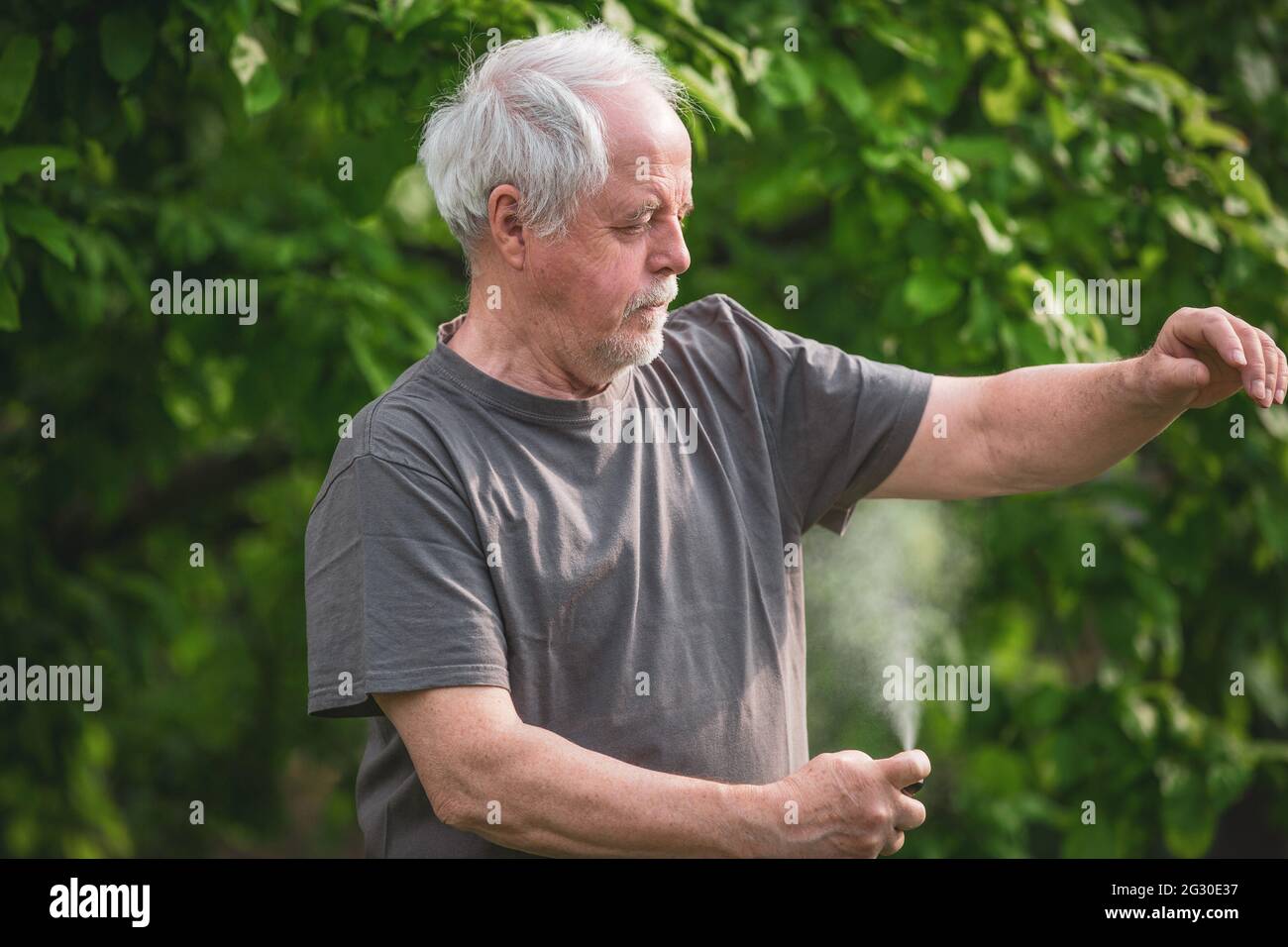 Hombre mayor rociando o usando repelente contra el tipo de insectos, mosquitos y garrapatas en el bosque, spray protector, concepto de salud Foto de stock