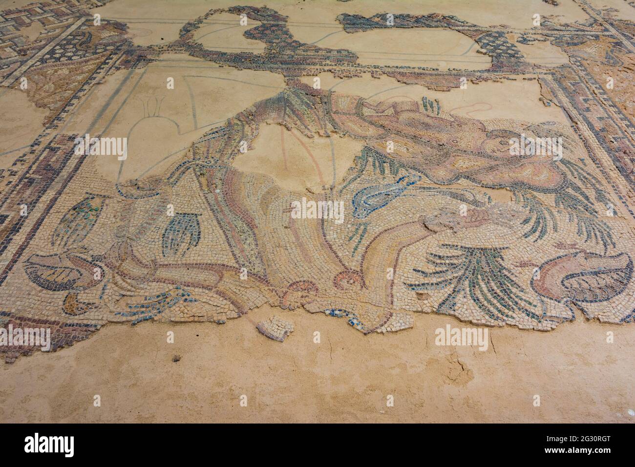 Habitaciones pavimentadas con mosaicos. Villa de las Musa Villa