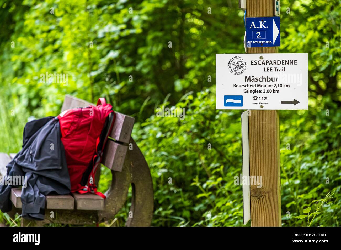 Señales en la ruta de senderismo Escardienne LEE Trail cerca de Lipperscheid, Luxemburgo. La primera subida empinada fuera del valle del Sauer se hace. El signo de la onda blanca sobre fondo azul es el signo oficial del camino Foto de stock