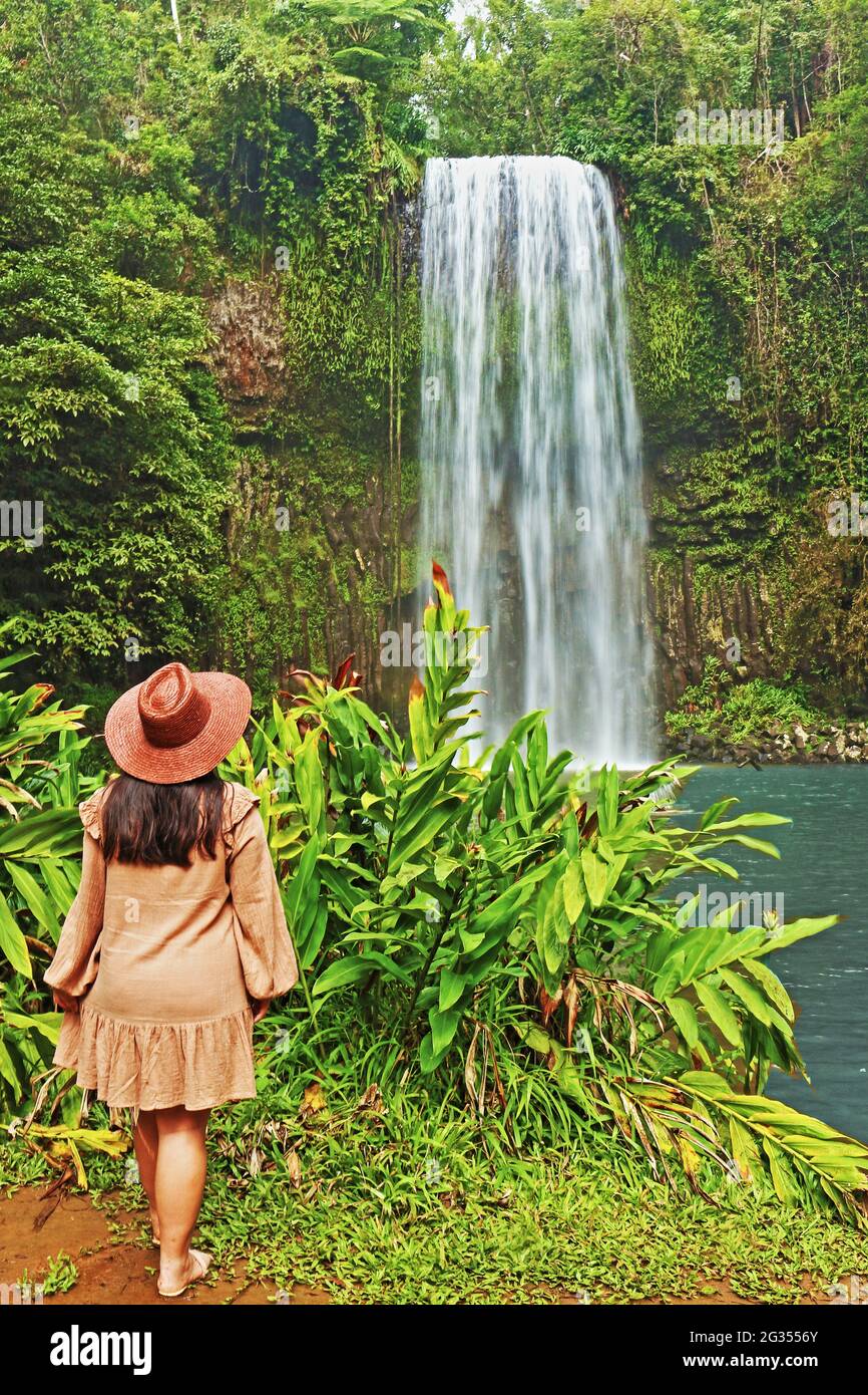 La cascada y la piscina de las cataratas Millaa Millaa Falls son un lugar de visita obligada en cualquier recorrido en auto o en grupo por los tablelands desde Cairns Foto de stock
