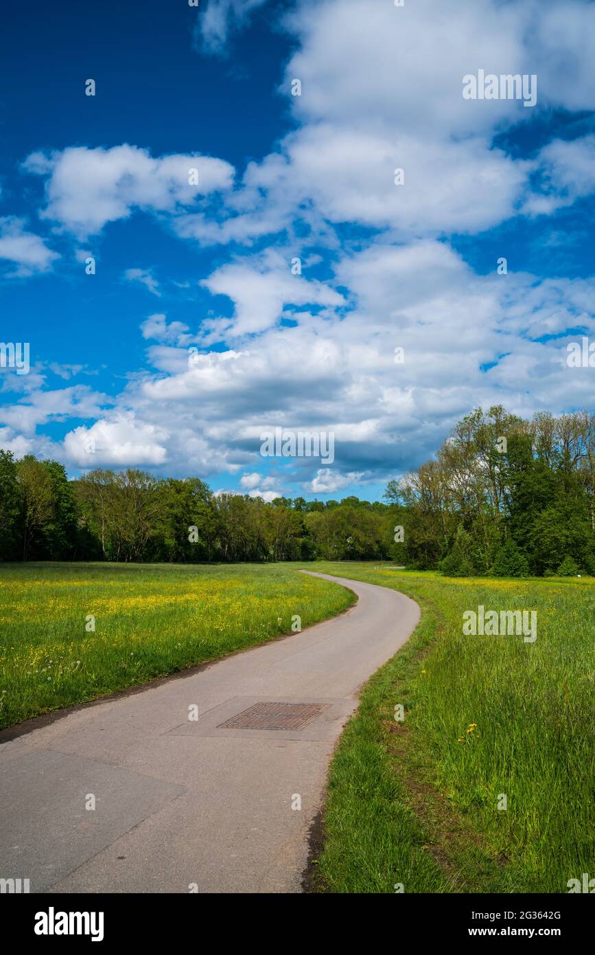 Alemania, carretera curva junto a colorido prado floreciente paisaje natural y flores y árboles forestales bajo el cielo azul y el sol en verano Foto de stock