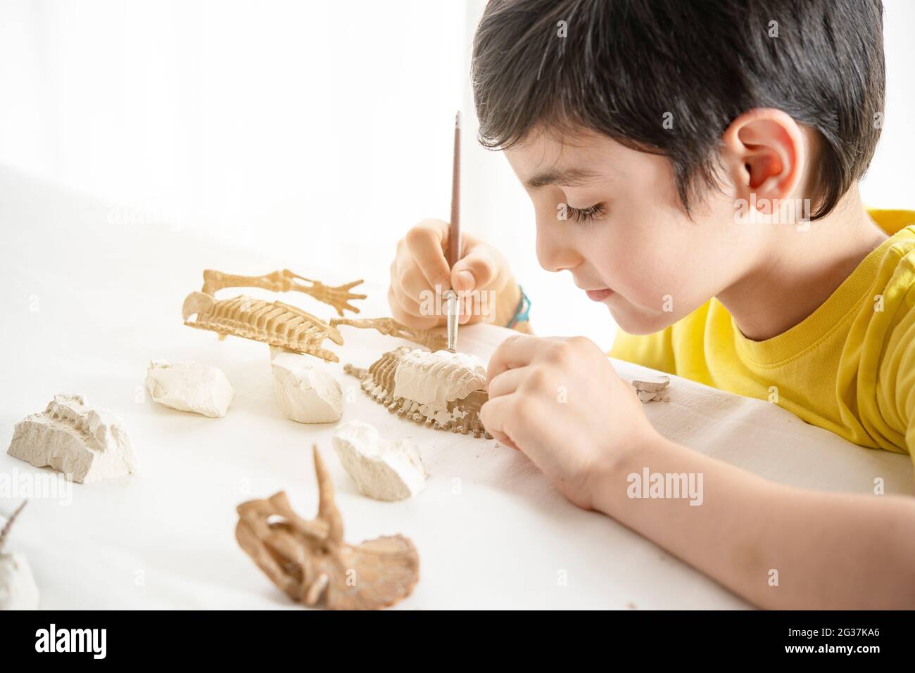 niño jugando a casa solo con un juego científico y paleontólogo de precisión Foto de stock