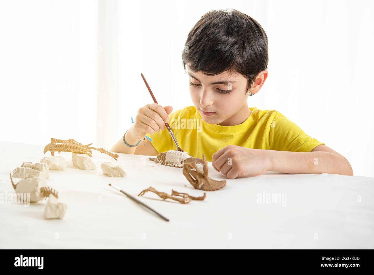 Un niño pequeño juega como paleontólogo en casa Foto de stock