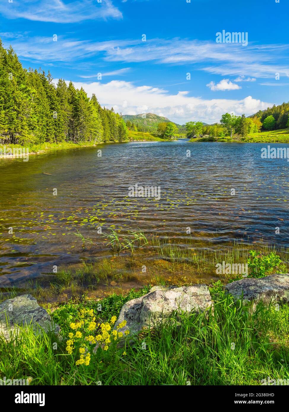 Poco largo estanque, estanque poco largo camino de carro de bucle, el Parque Nacional de Acadia, la isla de Mount Desert, Maine, EE.UU. Foto de stock