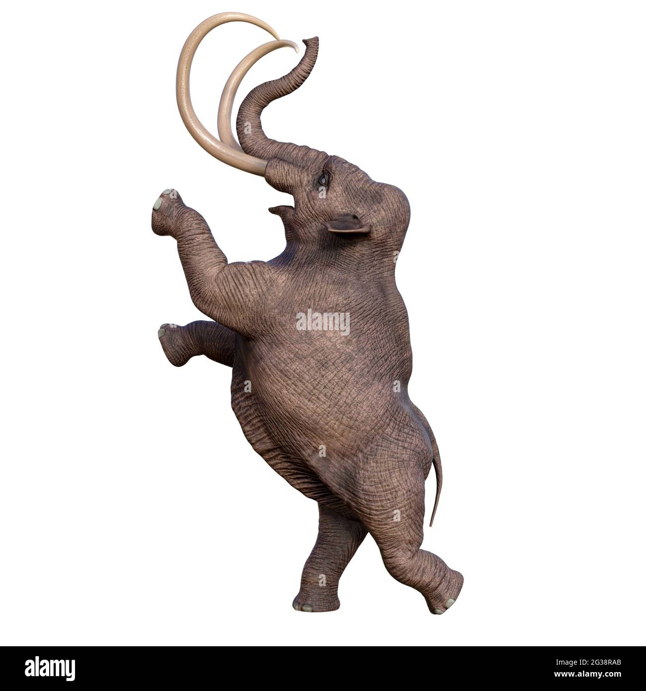 Durante la Edad de Hielo de América del Norte, la Mamut colombiana fue la megafauna del continente. Foto de stock