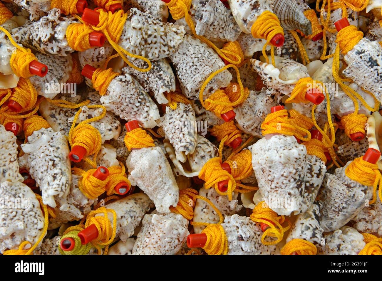 Shell silbatos para la venta en una tienda turística en el paseo marítimo  en Qingdao, China Fotografía de stock - Alamy