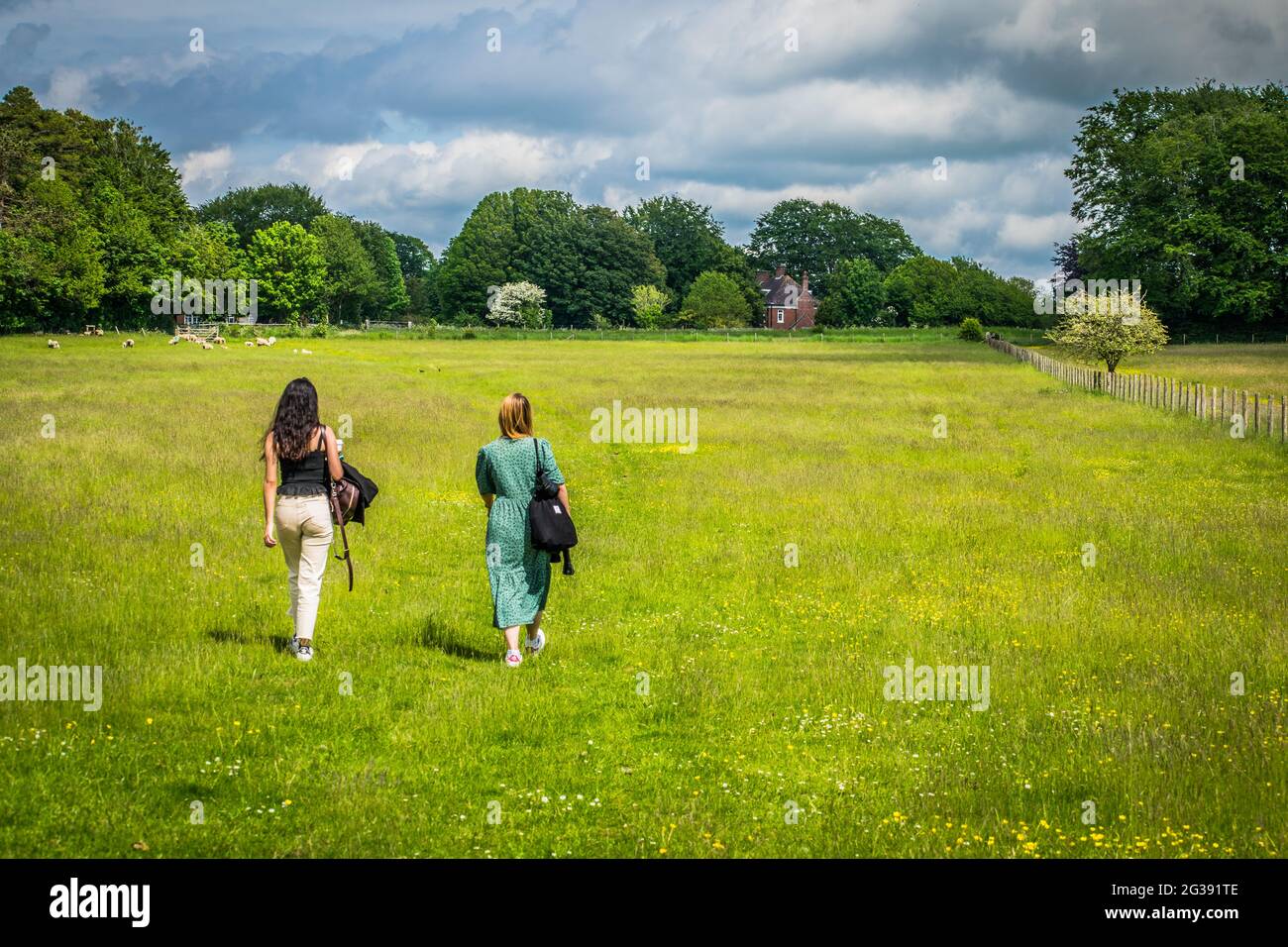 Niña de 5 años caminando a través de una pradera Fotografía de stock - Alamy