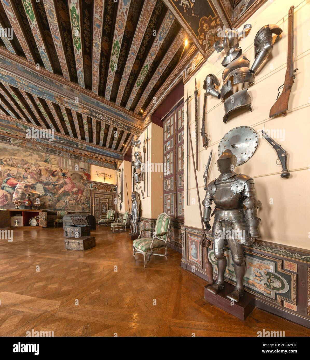 FRANCIA - VALLE DEL LOIRA - LOIR ET CHER (41) - CASTILLO DE CHEVERNY : LA SALA DE LOS BRAZOS, LA HABITACIÓN MÁS GRANDE DEL CASTILLO. LAS COLECCIONES DE ARMAS Y ARMOR D Foto de stock