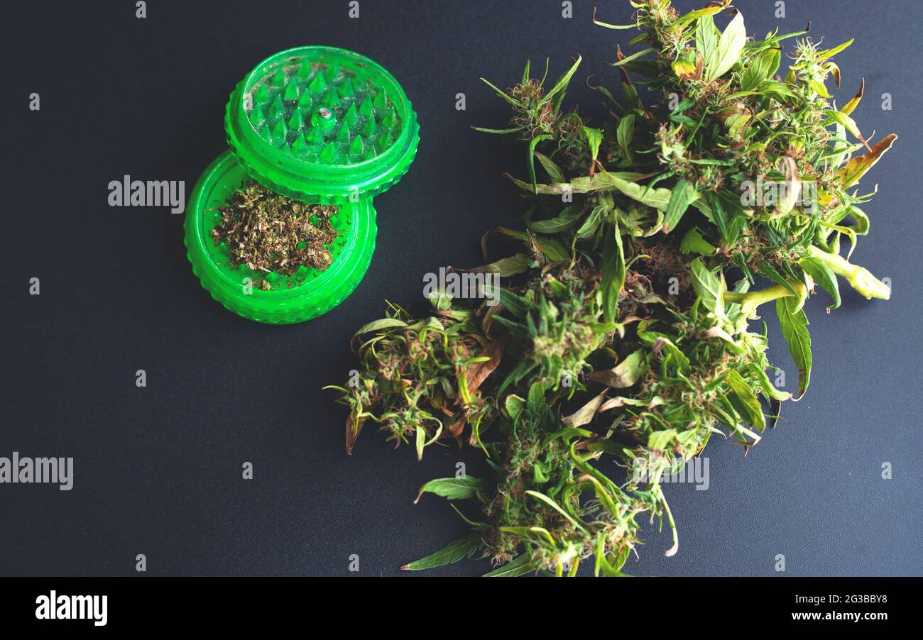 vista superior de cannabis seco y molinillo, uso clásico de marihuana. Foto de stock
