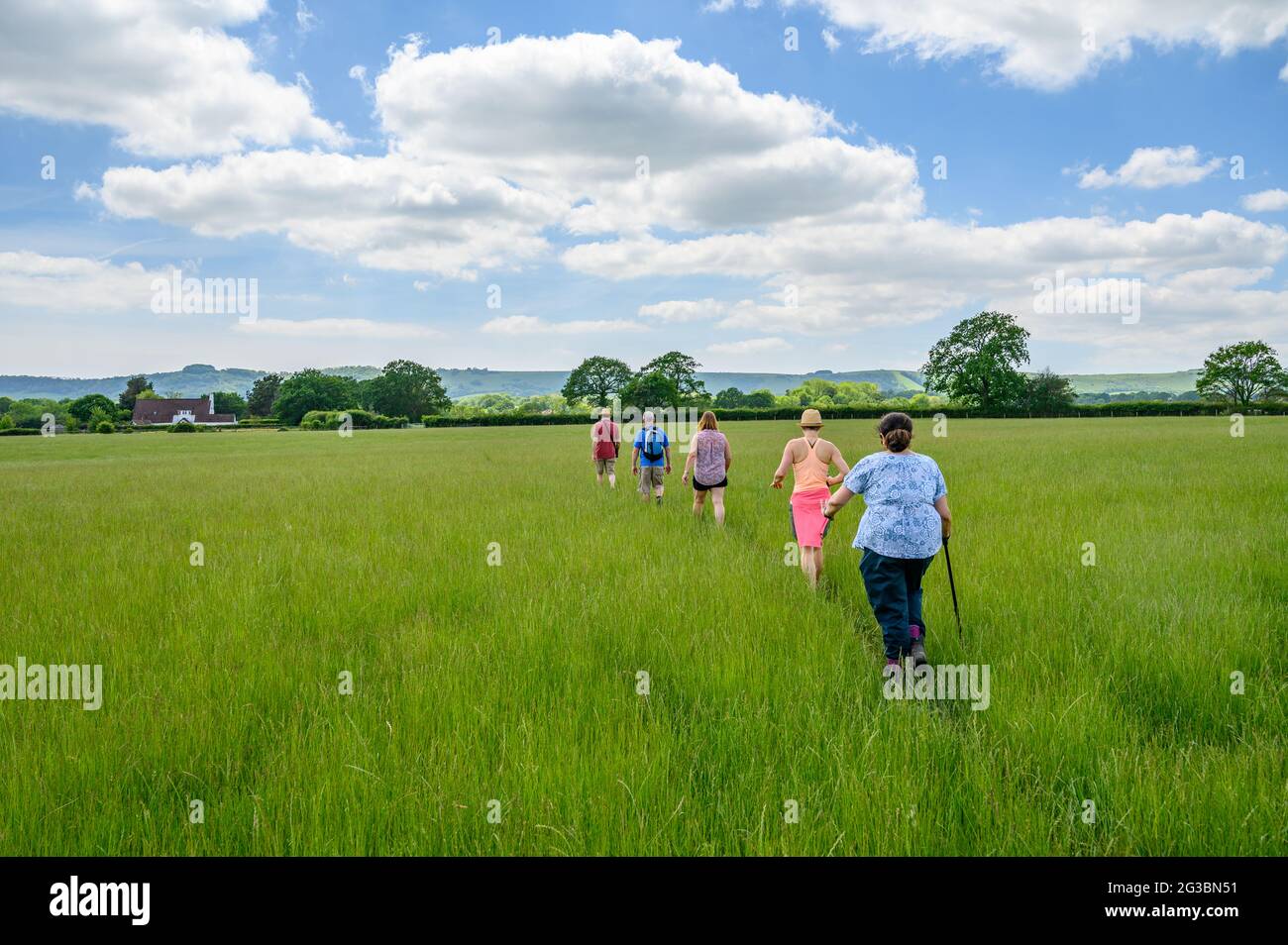 Un grupo de jugadores caminando sobre un campo de hierba alta con los South Downs subiendo en la distancia en East Sussex, Inglaterra. Foto de stock