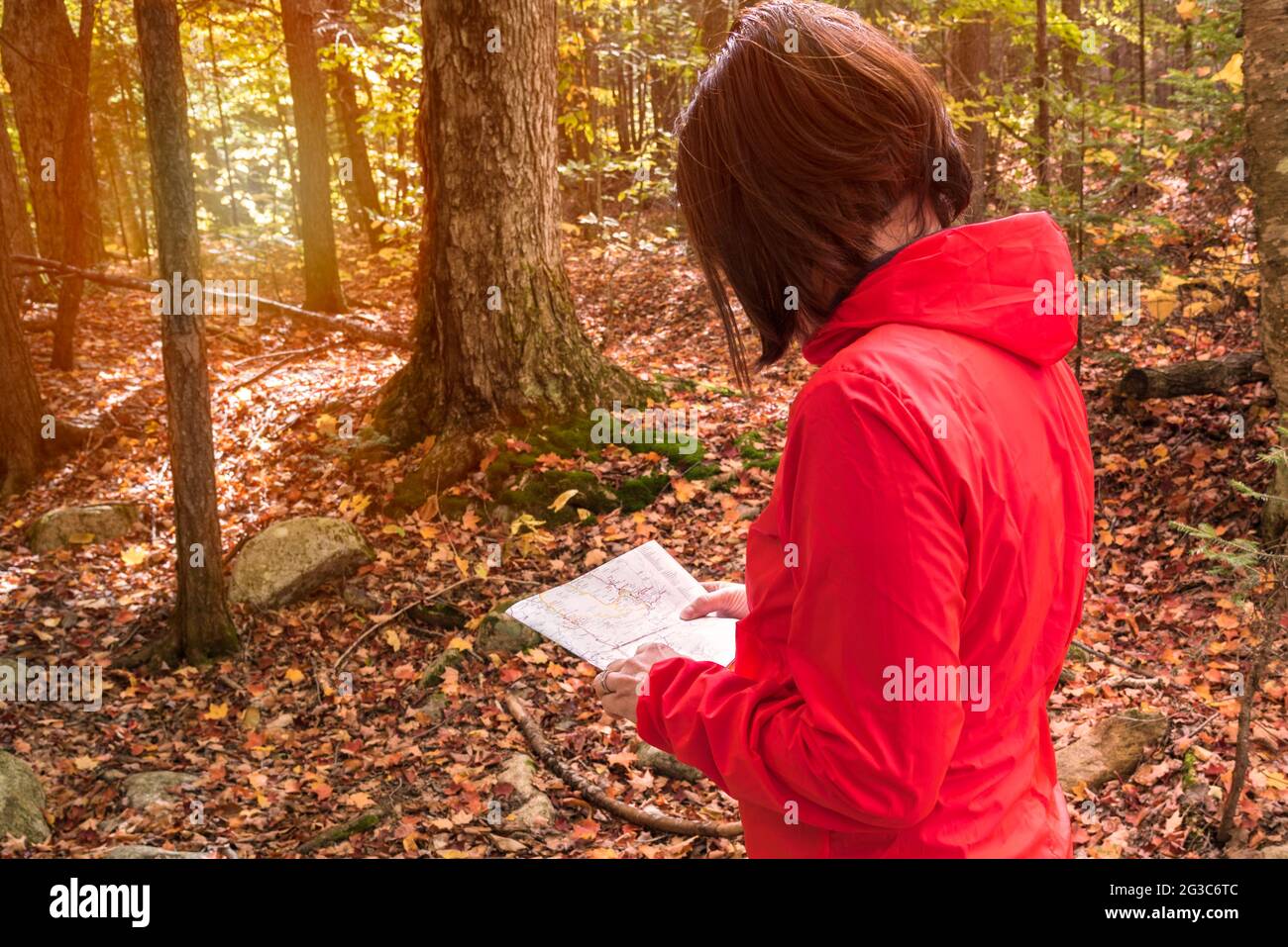 Una mujer solitaria que hace senderismo mirando un mapa en un bosque de otoño Foto de stock