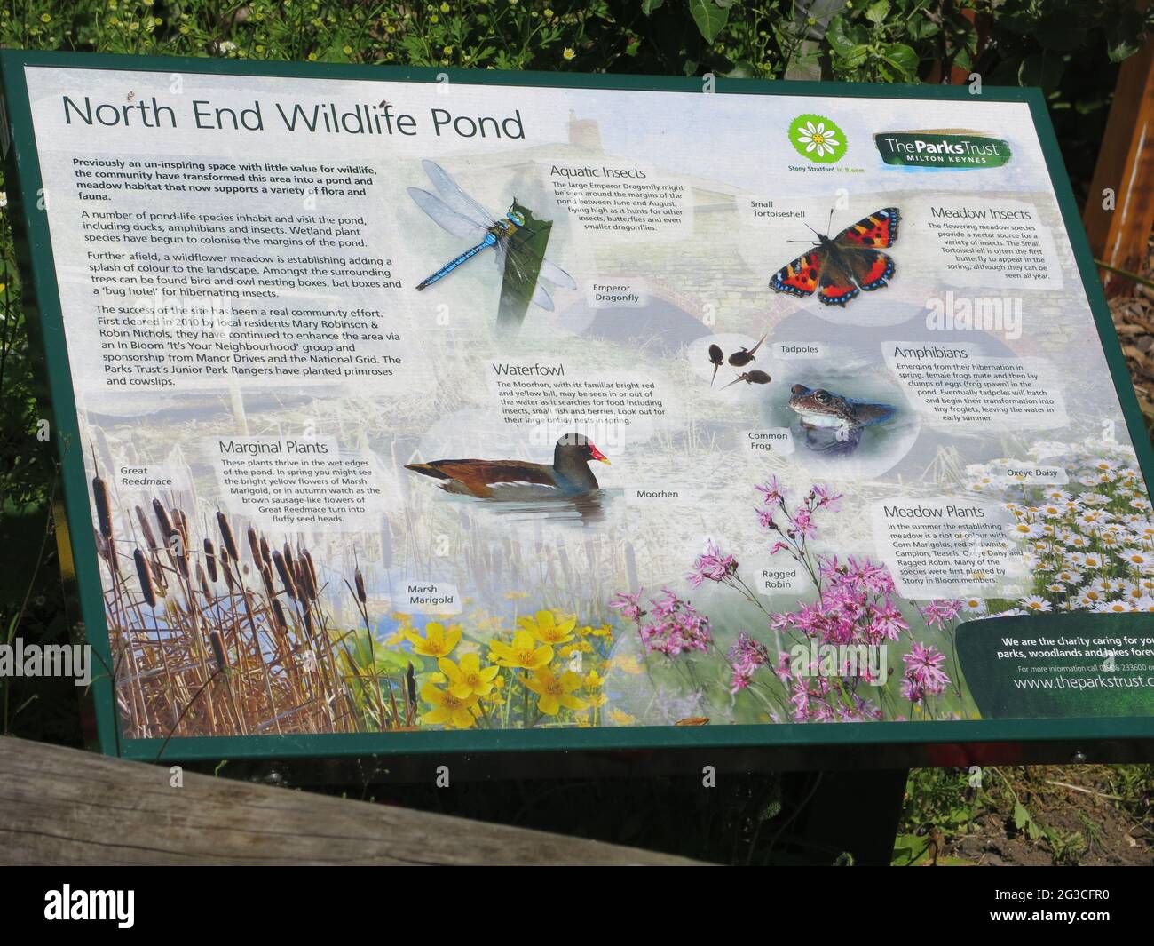 El tablero de información de North End Wildlife Pond en Stony Stratford, identificando los insectos acuáticos y las aves acuáticas en este hábitat del humedal. Foto de stock