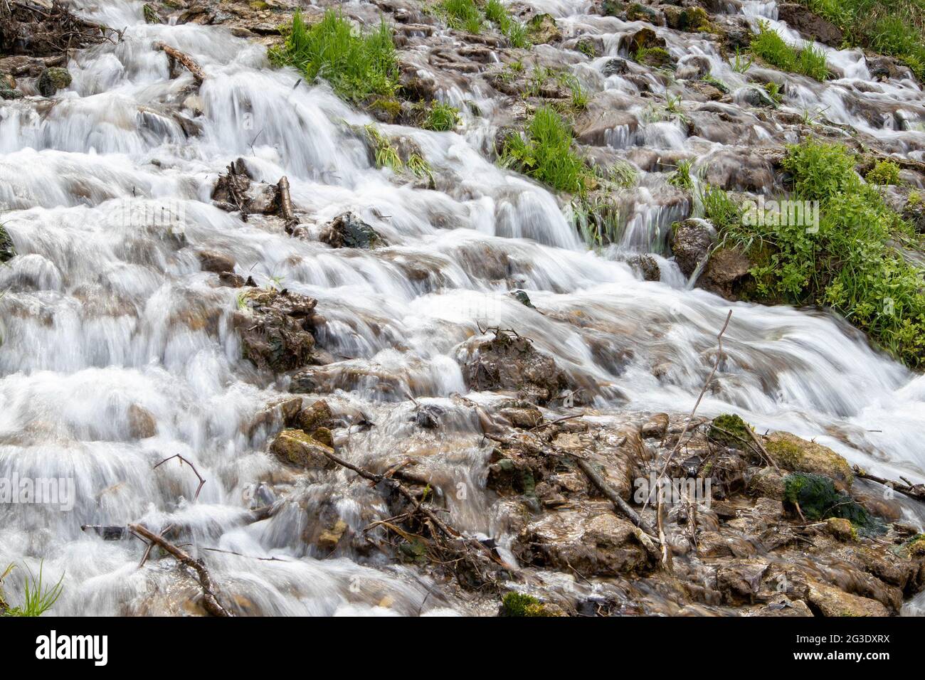 arroyo milenario de bosque frío, rápidos de río con flujo rápido, exposición larga Foto de stock