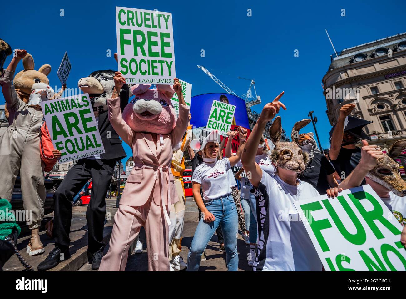 Londres, Reino Unido. 16th de junio de 2021. La campaña de otoño de 2021 de Stella McCartney, 'Nuestro tiempo ha llegado' en Piccadilly Lights, Piccadilly Circus. Para animar a la gente a firmar la petición de HSI Fur Free Britain, Stella McCartney organizó una reunión de guerrillas con embajadores de marca (aproximadamente 20 - 30) que llevaban cabezas de animales similares a las utilizadas en la campaña de otoño de 2021, pidiendo a los transeúntes que firmaran la petición de Humane Society Fur Free Britain. Crédito: Guy Bell/Alamy Live News Foto de stock