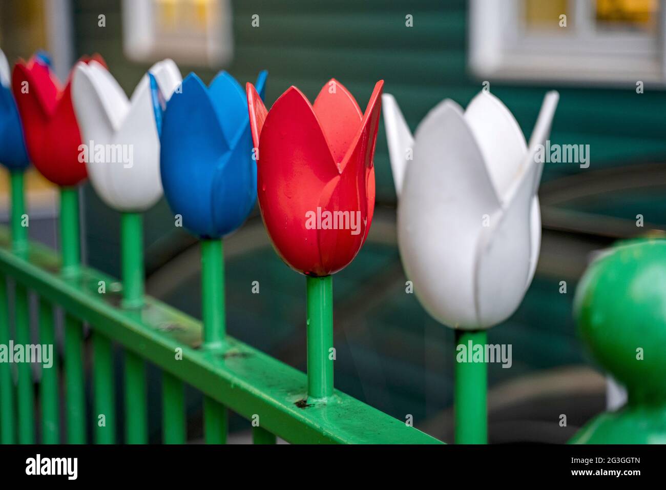 Decoración de tulipanes en los pasamanos del ayuntamiento de Zaandam, Zaandam, Países Bajos Foto de stock