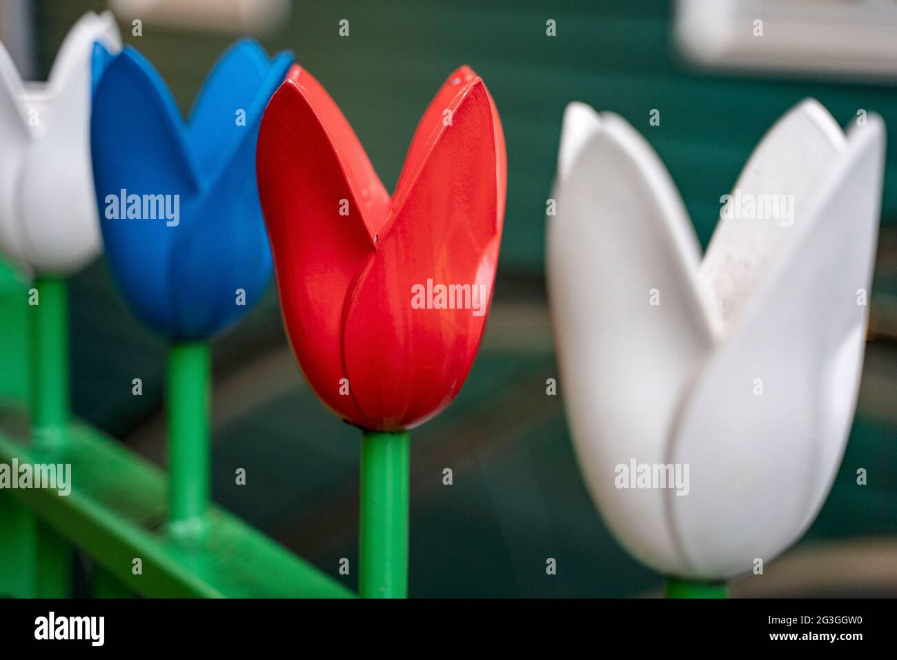 Decoración de tulipanes en los pasamanos del ayuntamiento de Zaandam, Zaandam, Países Bajos Foto de stock