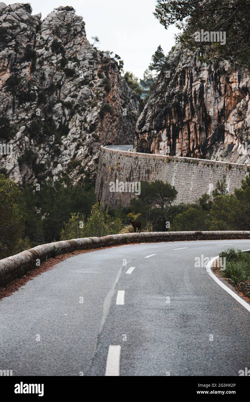 Carretera de circunvalación en Mallorca, España, llamada Sa Calobra Foto de stock