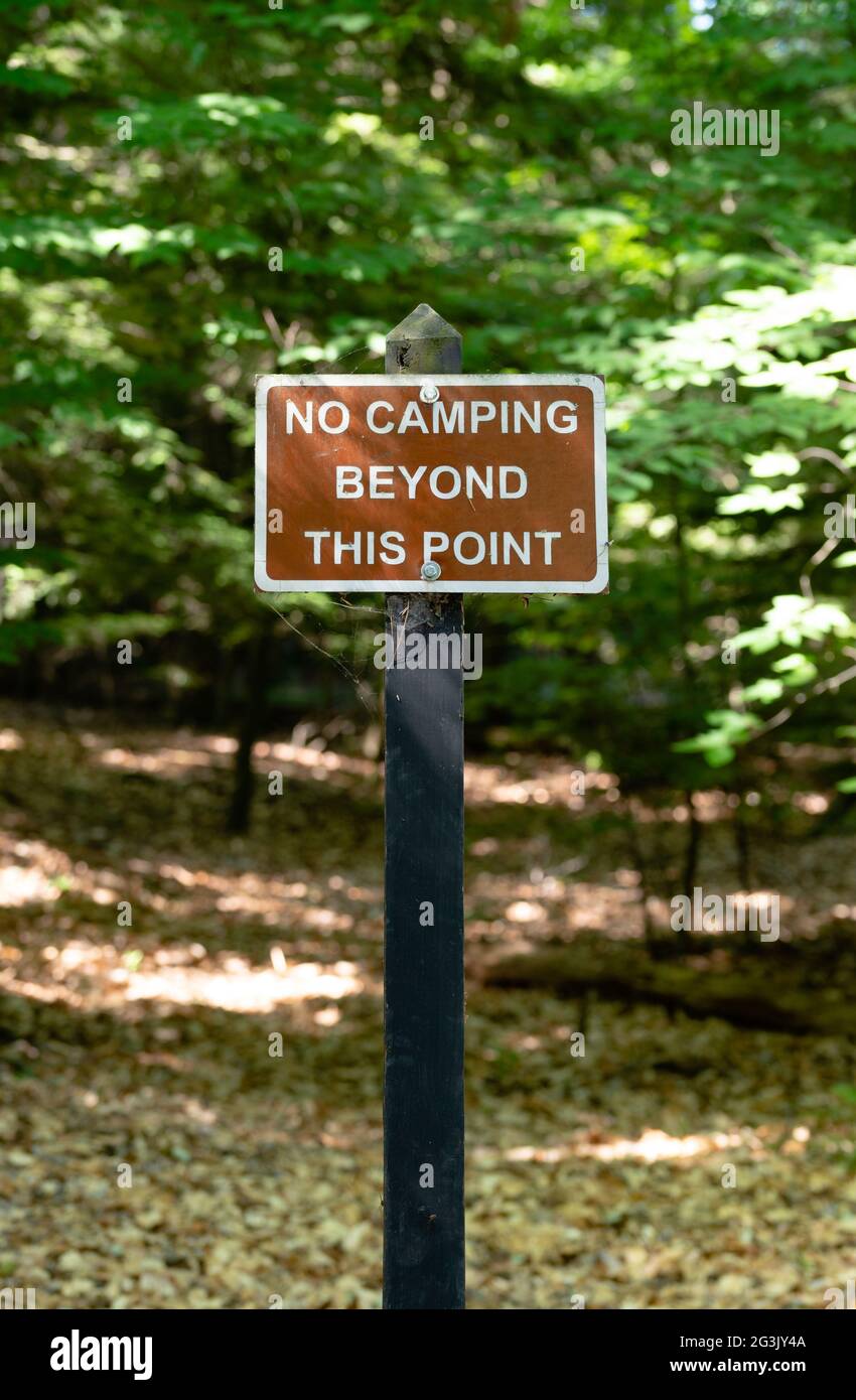 No hay camping más allá de este punto con el signo de los bosques en el fondo Foto de stock