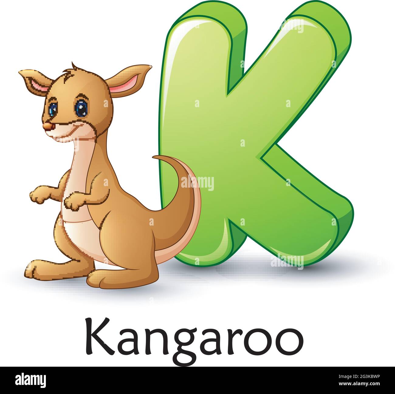 La letra K es para el alfabeto de dibujos animados Canguro Imagen Vector de  stock - Alamy