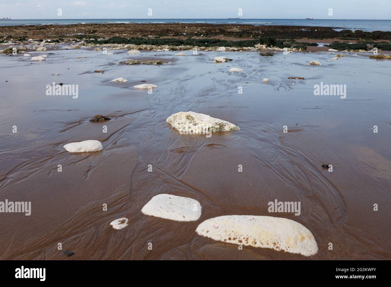 Piedras de tiza blanca en la arena en marea baja, playa de Botany Bay, Broadstairs, Kent, Inglaterra Foto de stock