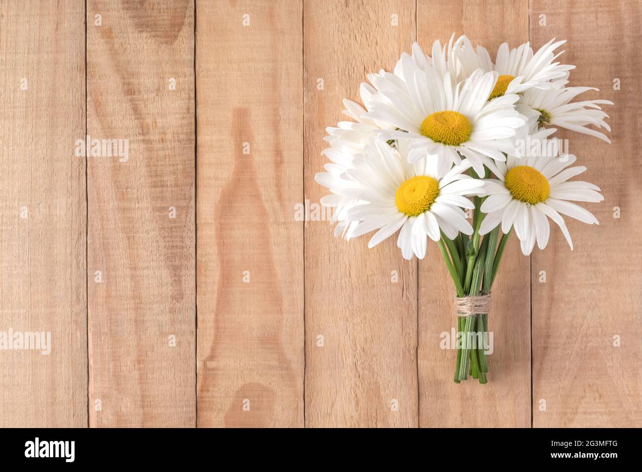 Ramo de hermosas flores de manzanilla sobre mesa de madera, plana. Espacio  de copia Fotografía de stock - Alamy