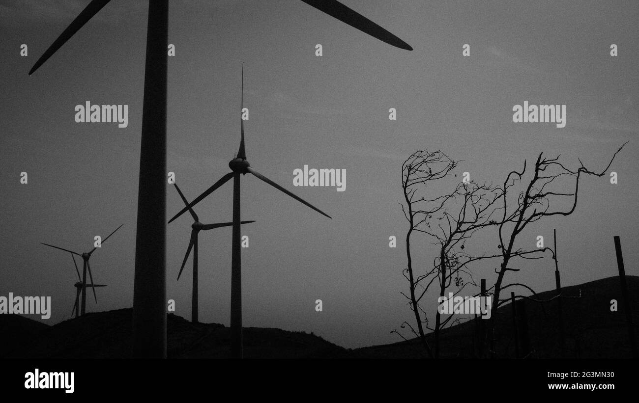 El Hierro, España. Molinos de viento de Gorona del Viento, el parque eólico que proporciona energía verde a la isla, a pesar de vientos muy fuertes. Foto de stock