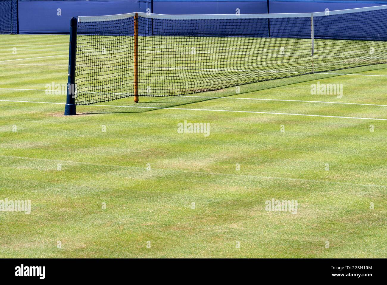 Red de tenis en la pista de hierba bajo el sol Foto de stock