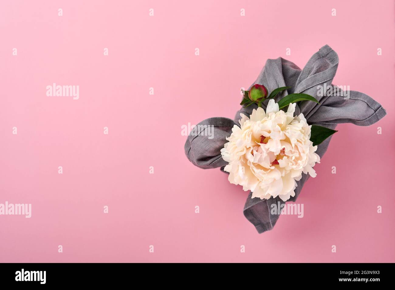 Regalo ecológico de primavera envuelto en tela gris con una decoración de flores peonías blancas sobre rosa. Regalo sostenible. Estilo tradicional japonés furoshiki. V Foto de stock