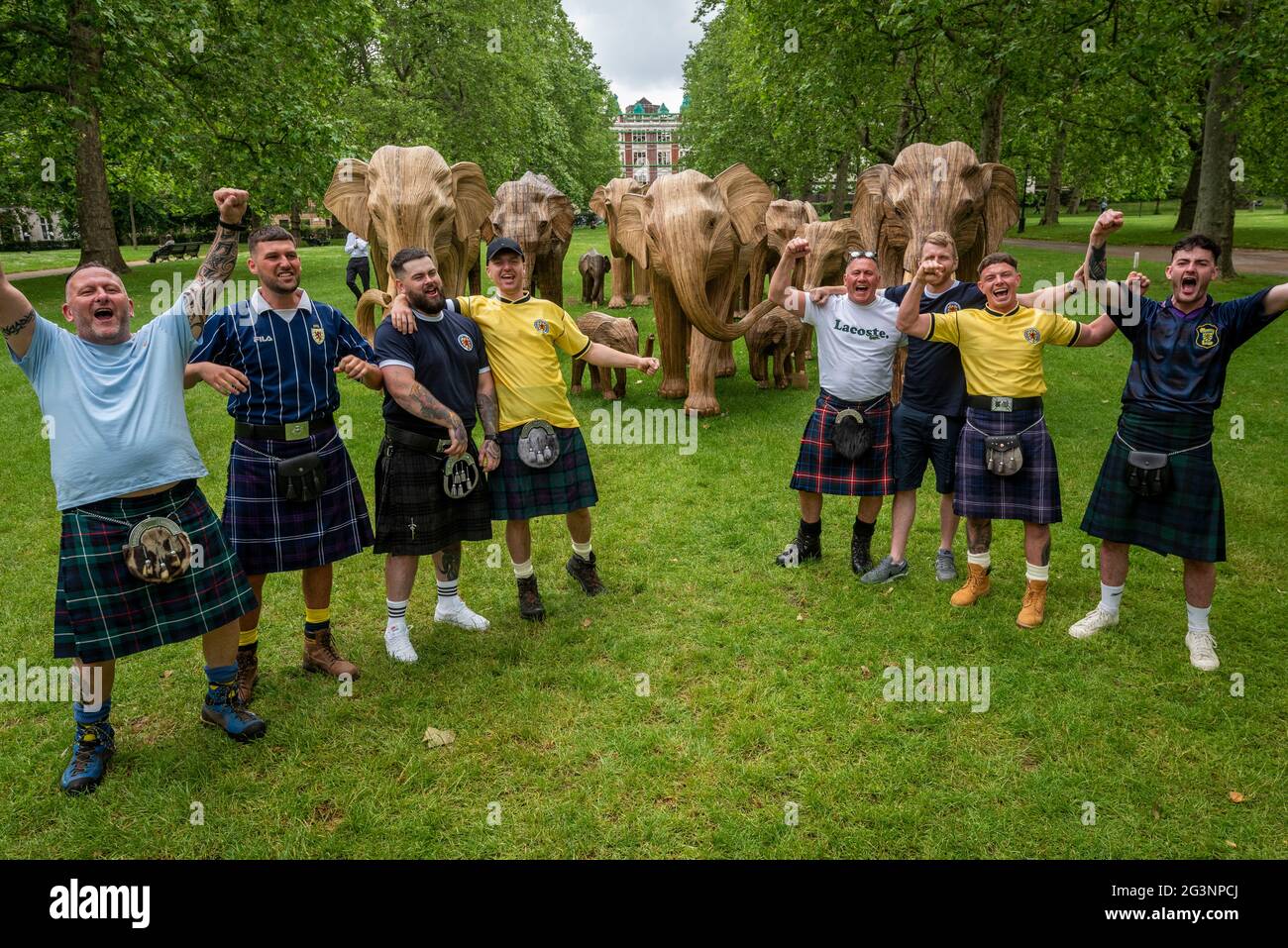 Londres, Reino Unido. 17 de junio de 2021. Los partidarios de Escocia que llevan kilts, en la capital para el partido de grupo de la Eurocopa 2020 Inglaterra contra Escocia en el estadio de Wembley al día siguiente, posan con algunos de los 100 elefantes de madera actualmente en exhibición en Green Park, parte de la manada de coexistencia. Hechos a mano a partir de un material vegetal natural llamado Lantana camara, los elefantes de madera están actualmente en una gira de instalación por el Reino Unido para destacar un planeta abarrotado y la invasión humana en lugares silvestres. Crédito: Stephen Chung / Alamy Live News Foto de stock