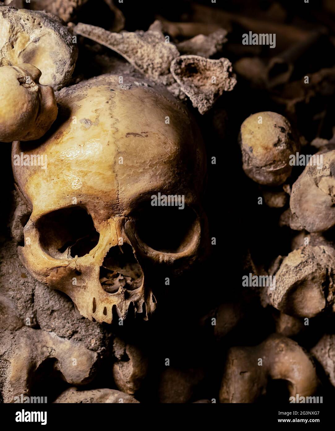 Primer plano de un antiguo cráneo y huesos enterrados en las catacumbas de París, Francia Foto de stock