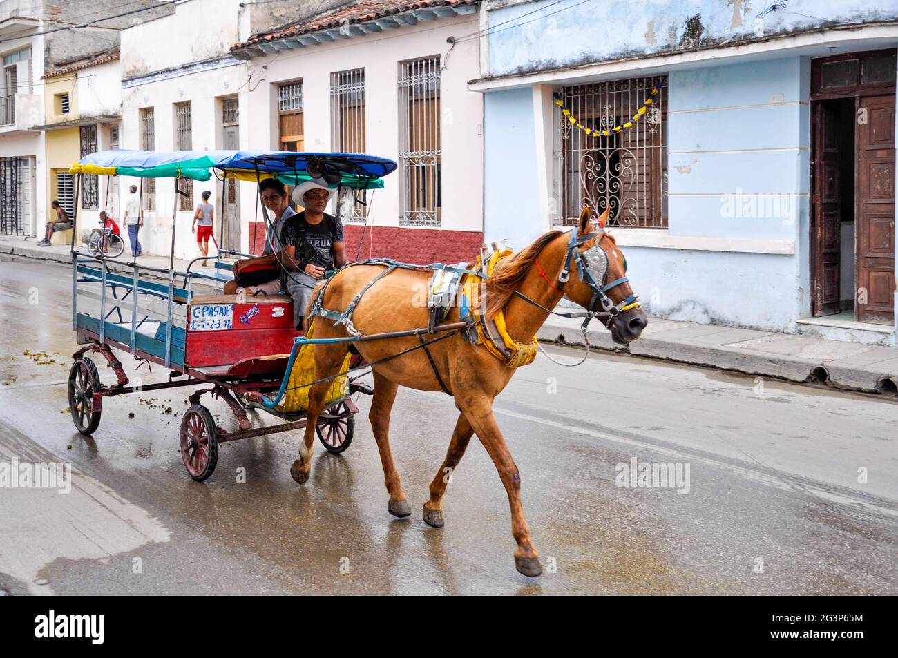Un caballo dibujado 4 ruedas carro de pasajeros que circulan por una calle  en Cuba. Carruajes de caballos son utilizados como medio de transporte  común en Cuba Fotografía de stock - Alamy