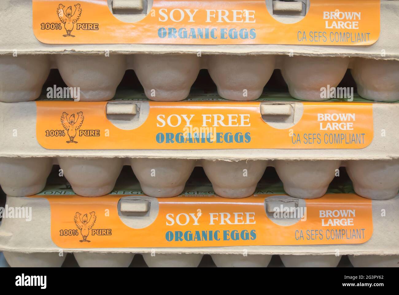 Tres docenas de huevos en cartones Foto de stock