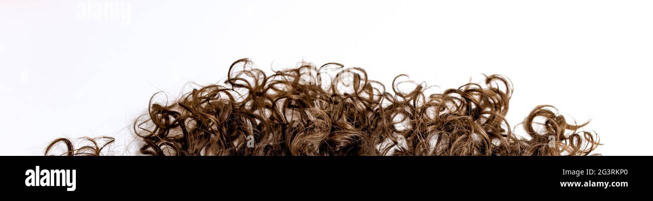 Extensión de pelo rizado morena aislada sobre fondo blanco. Banner, formato ancho Foto de stock