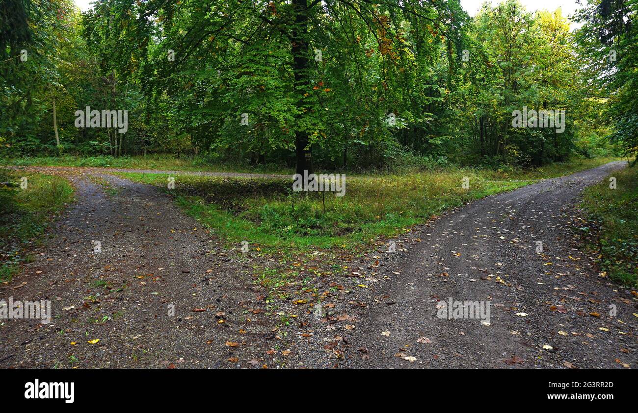 Separación de los caminos en el bosque de otoño Foto de stock