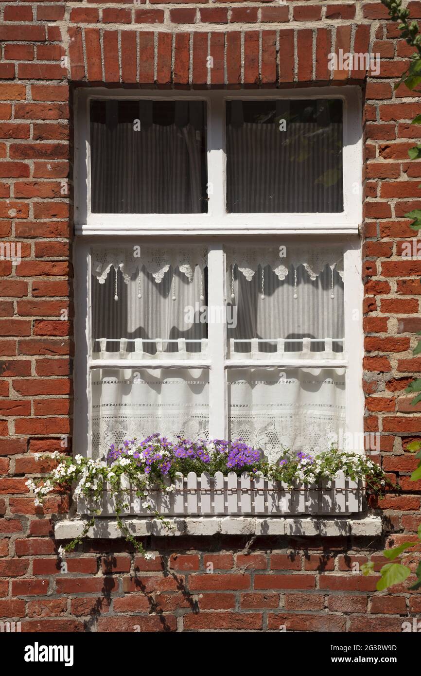 Ventana con maceta de flores Foto de stock