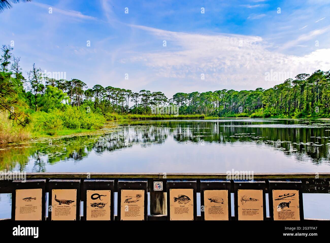 Las señales ilustran los tipos de vida silvestre que se encuentran en y alrededor del lago Gaillard en el Santuario de Aves Audubon, 17 de junio de 2021, en Dauphin Island, Alabama. Foto de stock