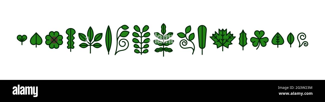 Moderna línea plana verde hoja planta icono sobre fondo blanco aislado. Diferentes hojas de la naturaleza y la colección de símbolos de follaje de árboles. Ilustración del Vector
