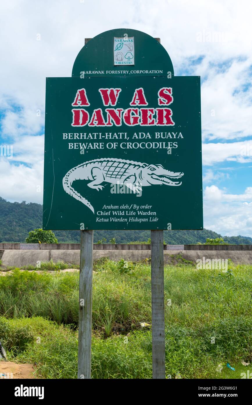 Ten cuidado con los cocodrilos en el río Santubong en Borneo Foto de stock